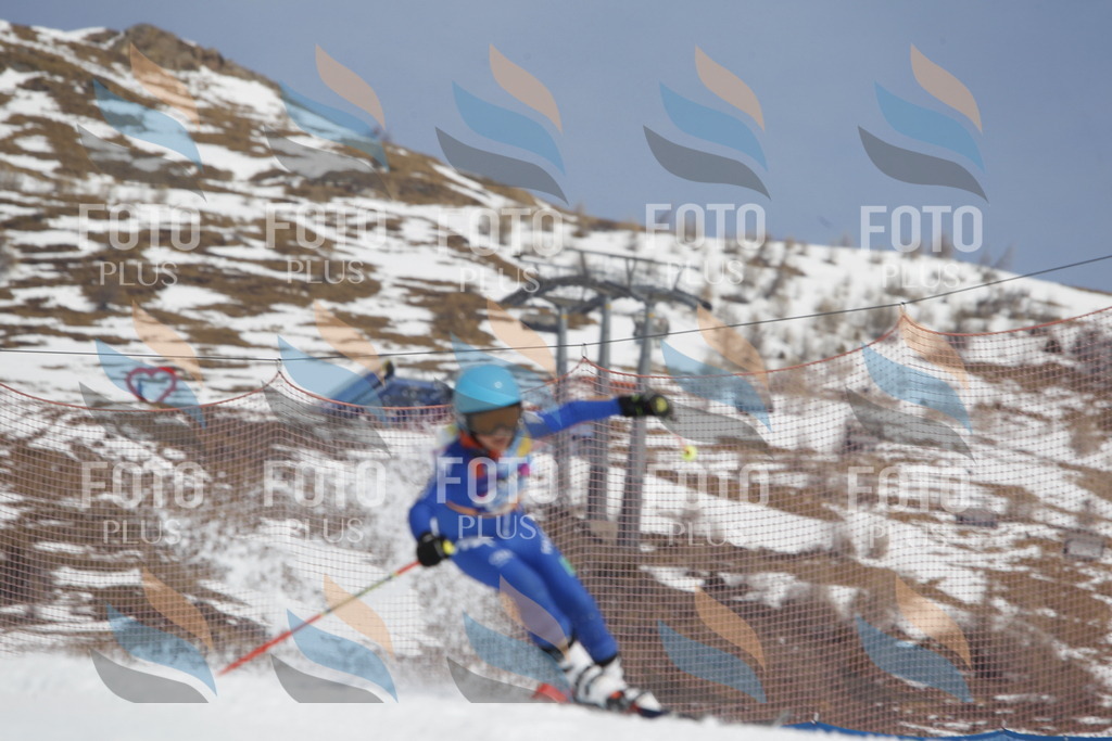 _U3G2757 | holidayphoto