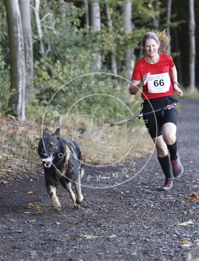 0L8A1917 | Hundefotografie, Tierfotograf, Pfotenfotografie, Fotoshooting Hund, Hunde Portrait, Hundesport, Hundeportraits, Heideshooting, Hunde, Sportfotograf, Hundefotograf, Turnierhundsport, THS,  - Realisiert mit Pictrs.com