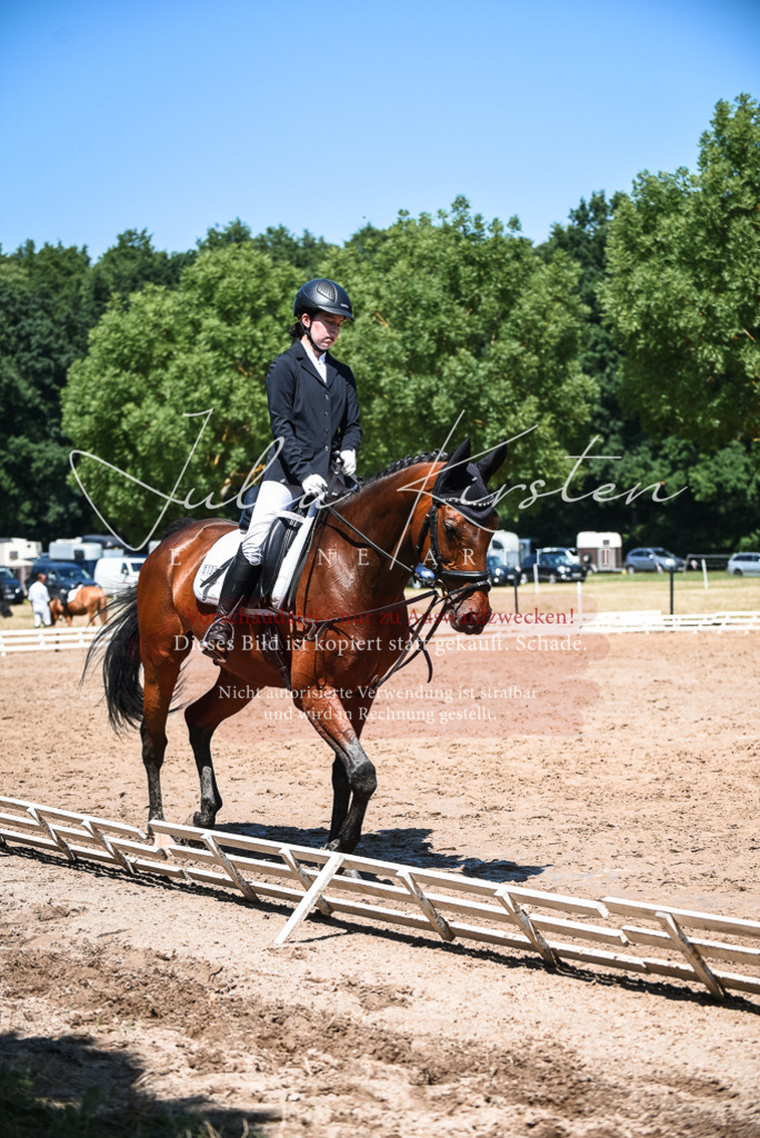 DSC_2768 | Pferde- und Turnierfotografie in Westsachsen. Pferdeportraits, Auftragszeichnungen und intuitive Kunst.