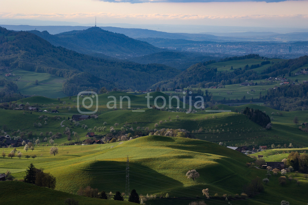 A.Trupina-63 | antonija-trupina - Realisiert mit Pictrs.com