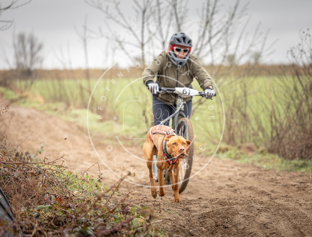 DV3A9386 | Hundefotografie, Tierfotograf, Pfotenfotografie, Fotoshooting Hund, Hunde Portrait, Hundesport, Hundeportraits, Heideshooting, Hunde, Sportfotograf, Hundefotograf, Turnierhundsport, THS,  - Realisiert mit Pictrs.com