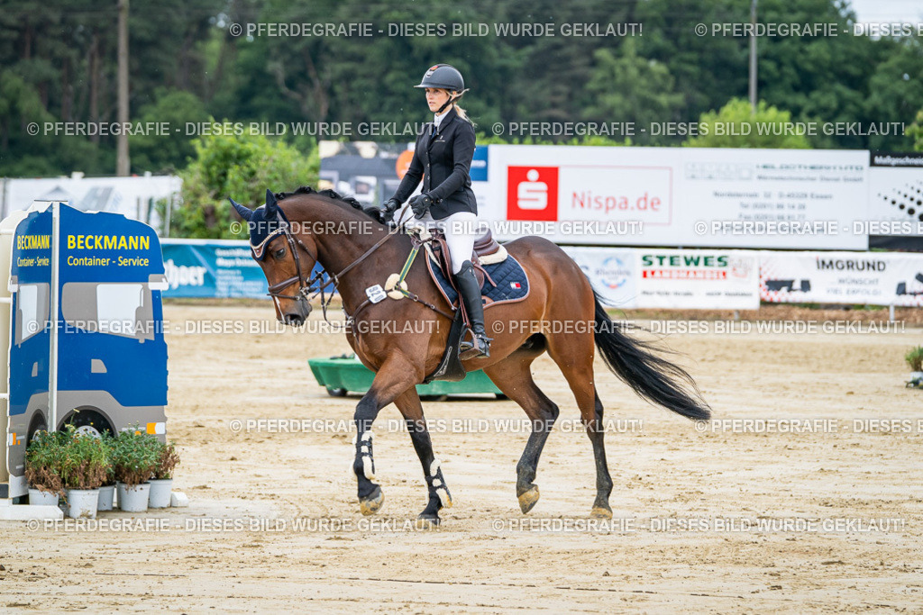 DSC04587 | Pferdegrafie