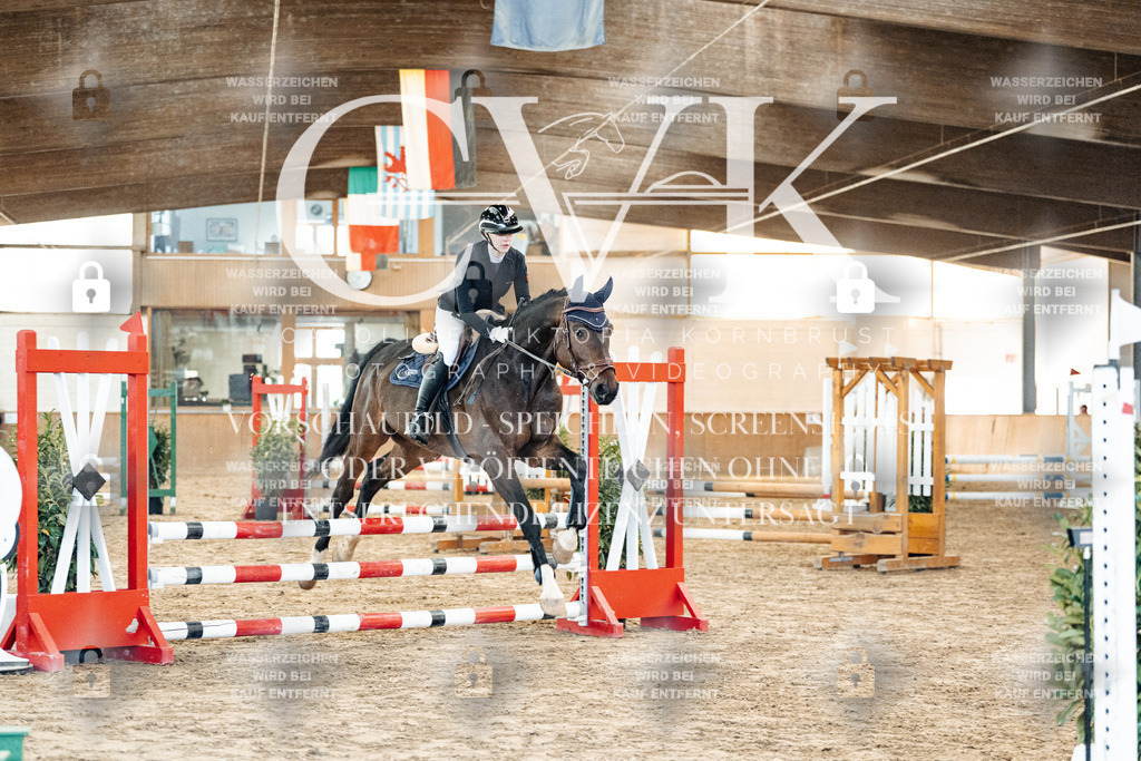 CK903817 | Turnierfotografie Pferdefotografie Trier Rheinland-Pfalz Pferdesport Reitsport Tierfotografie Sportfotografie Pferdevideo Pferdevideografie Equestrianvideography equestrianphotography  - Realisiert mit Pictrs.com