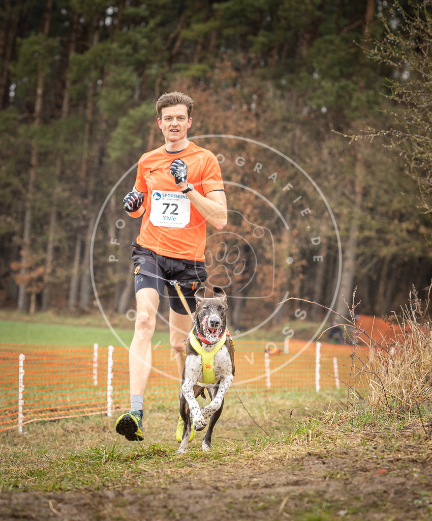 DV3A0204 | Hundefotografie, Tierfotograf, Pfotenfotografie, Fotoshooting Hund, Hunde Portrait, Hundesport, Hundeportraits, Heideshooting, Hunde, Sportfotograf, Hundefotograf, Turnierhundsport, THS,  - Realisiert mit Pictrs.com