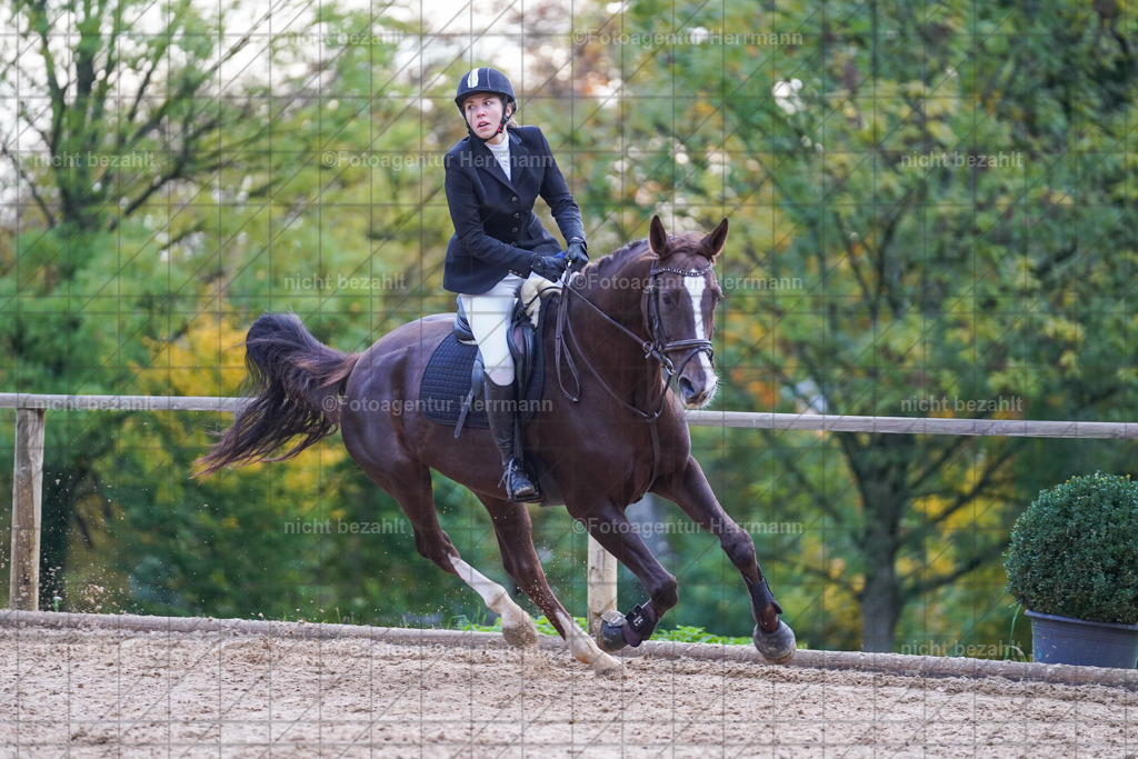 20221009-FAH08261 | Diessen am Ammersee, 2022, Dressur- und Springturnier, Reitsportbilder, Turnierfotografen Bayern, Pferdefotografen, Fotoagentur Herrmann, Turnierbilder