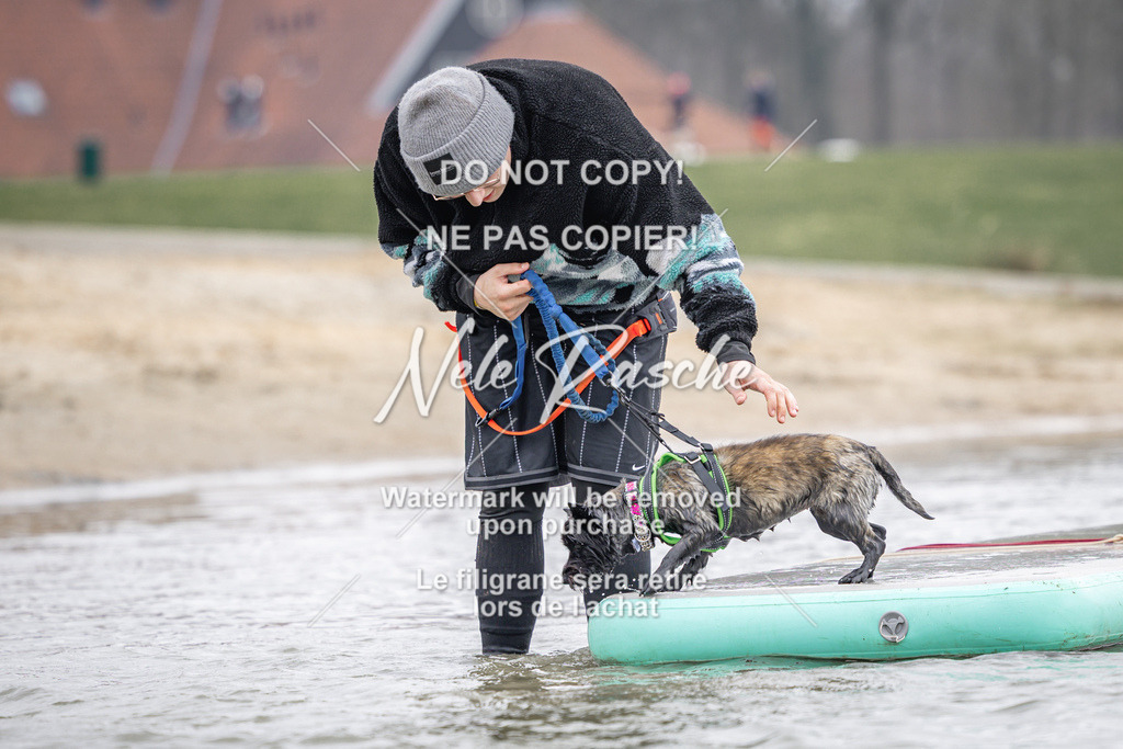 nelerasche_Hulsbeek_Sa1230-1330_175 | nelerasche