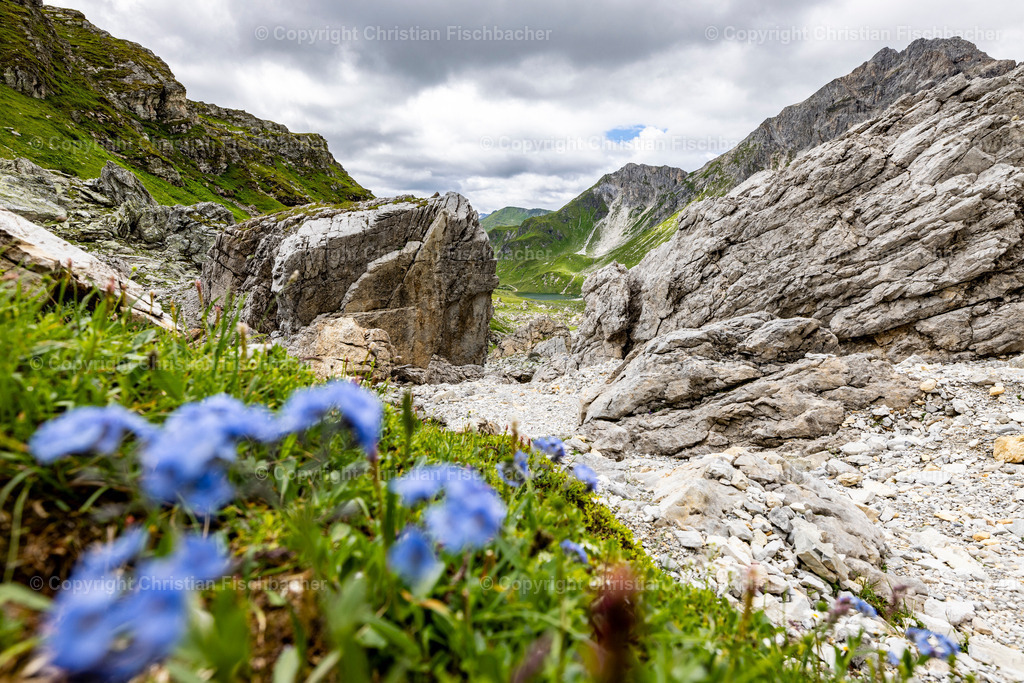 Fotos_Copyright_Chri_Fischbacher_Druck-469 | Bildershop Chri Fischbacher - Realisiert mit Pictrs.com