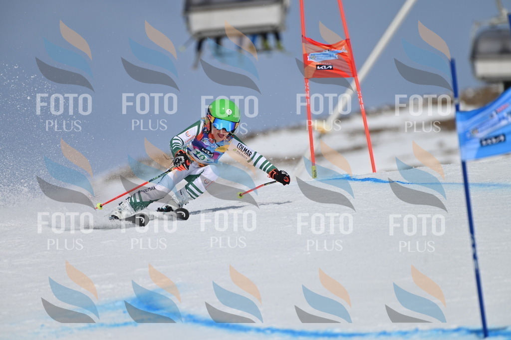 BGV_3548 | holidayphoto