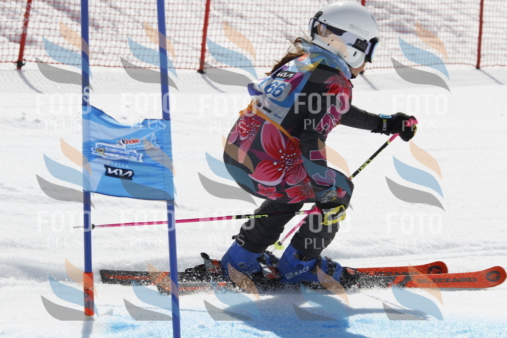 _U3G1478 | holidayphoto