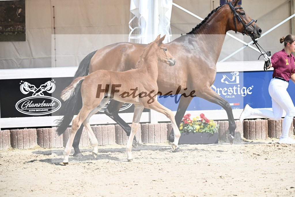 Veneno x Hotline _SF_Wiedemann_12250328 | hf-fotografie - Realisiert mit Pictrs.com