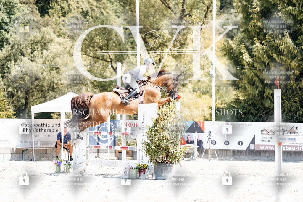 CK900215 | Turnierfotografie Pferdefotografie Trier Rheinland-Pfalz Pferdesport Reitsport Tierfotografie Sportfotografie Pferdevideo Pferdevideografie Equestrianvideography equestrianphotography  - Realisiert mit Pictrs.com