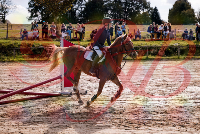 2026_10_03_Siefer-Hof_144651_Z81_23054382 | Professionelle Reitsport-, Turnier- und Eventfotografie von Robert Broda. Galerien mit ausgewählten und bearbeiteten Bildern direkt online ansehen und bestellen.