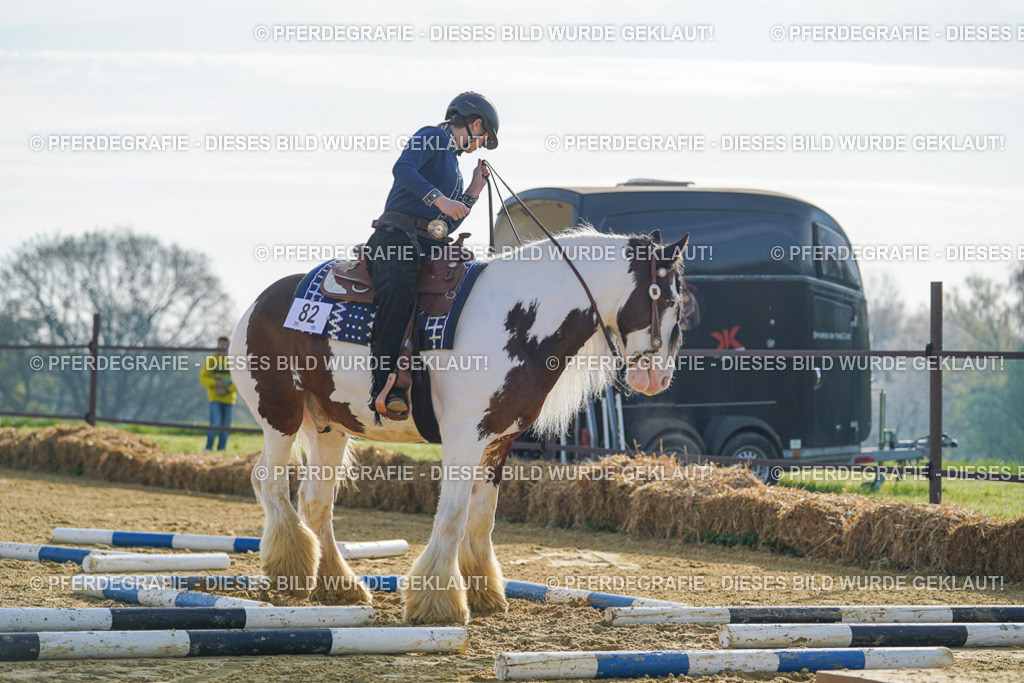 DSC00884 | Pferdegrafie