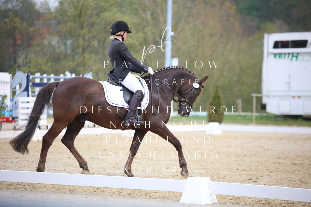 IMGT5995 | pl-fotografie