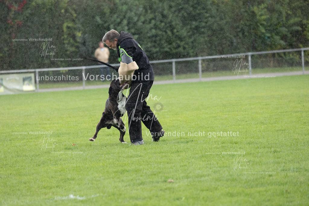 _16A7169 | Einzigartige Fotos von Hunden & Menschen –Actionfotos, Portraits, Vereinsaufnahmen & Paarshootings – authentisch, lebendig & mit Herz.