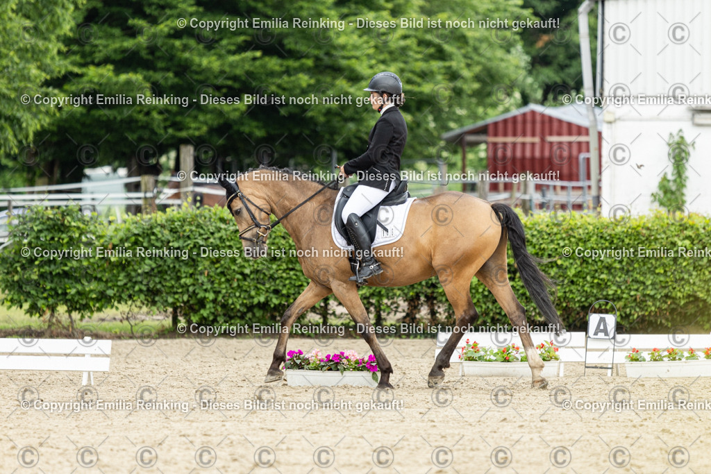 CL5A1040 | Emilia Reinking Fotografie - Realisiert mit Pictrs.com