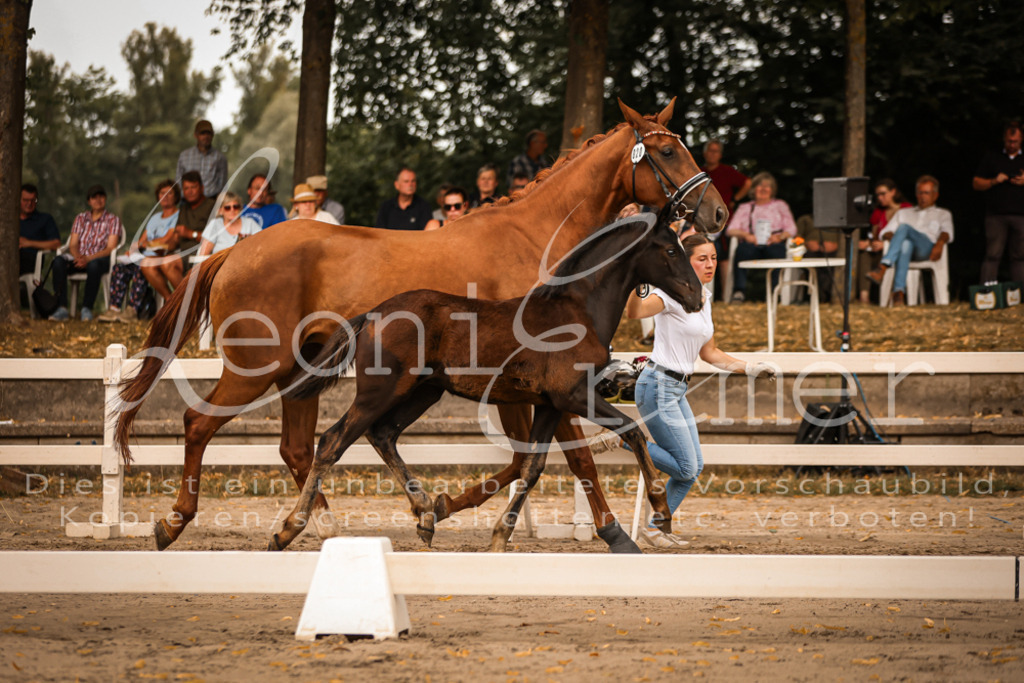 SaPA00283 | Leoni Ertmer Photography - Realisiert mit Pictrs.com