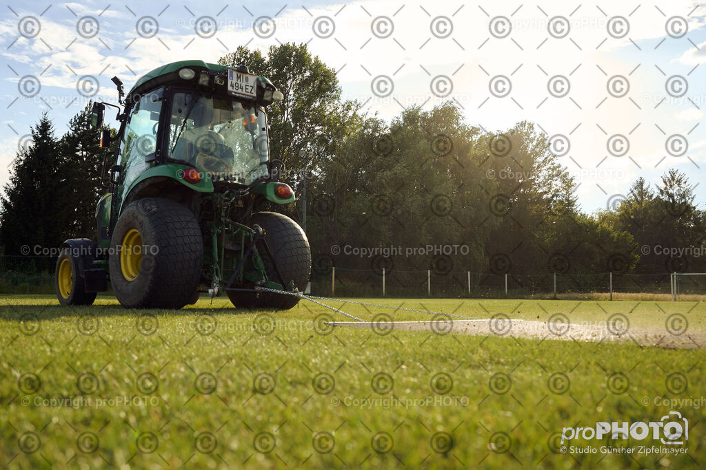 202507_Rernböck-Rasen_NZ9_1314 | proPHOTO - Realisiert mit Pictrs.com