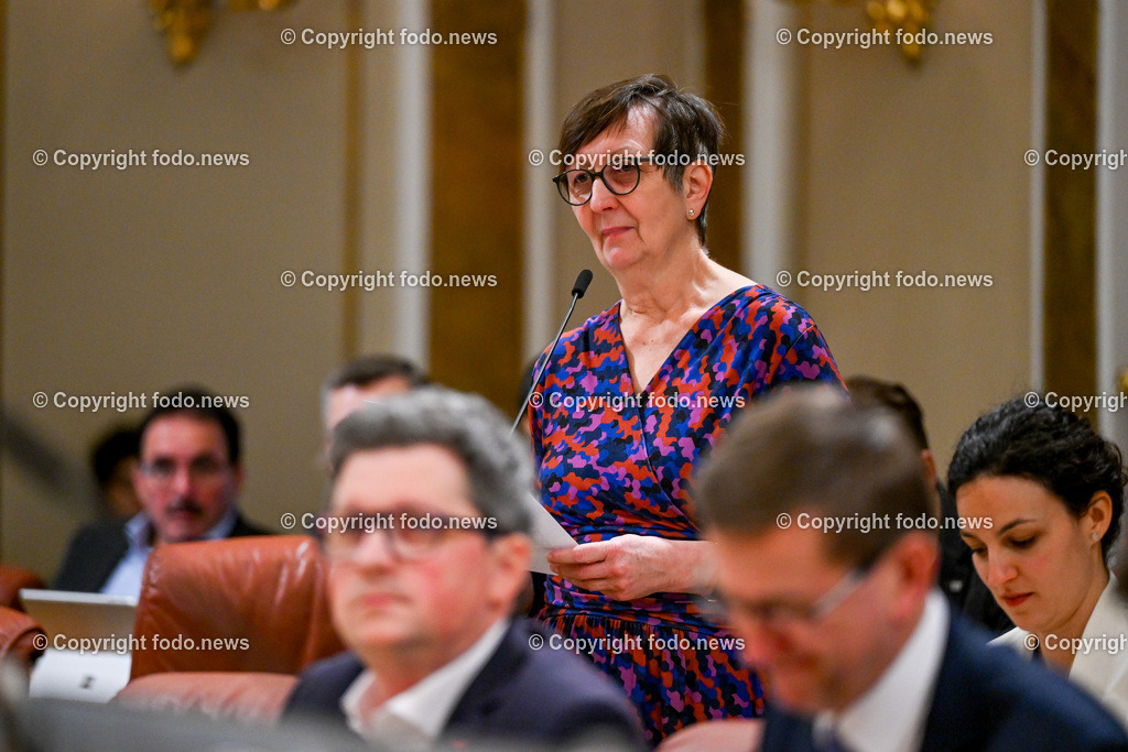 Landhaus Linz_ Promenade_ Landtagssitzung_ 25.01.2024-53 | 25.01.2024, Landhaus Linz AUT, Promenade, Landtagssitzung, im Bild Ulrike Schwarz (Die Gruenen, LAbg.)