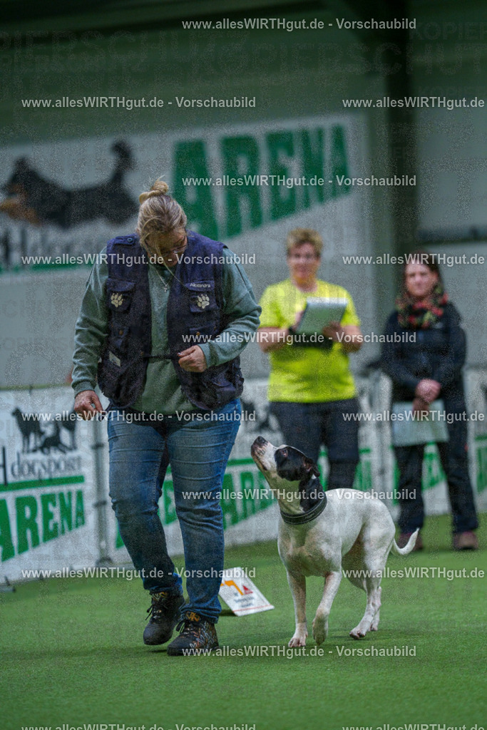 7R503008 | Professionelle Tierfotografie in Mönchengladbach von Daniel Wirth (allesWIRTHgut). Liebevolle & natürliche Bilder von Hunden & Katzen für unvergessliche Erinnerungen.