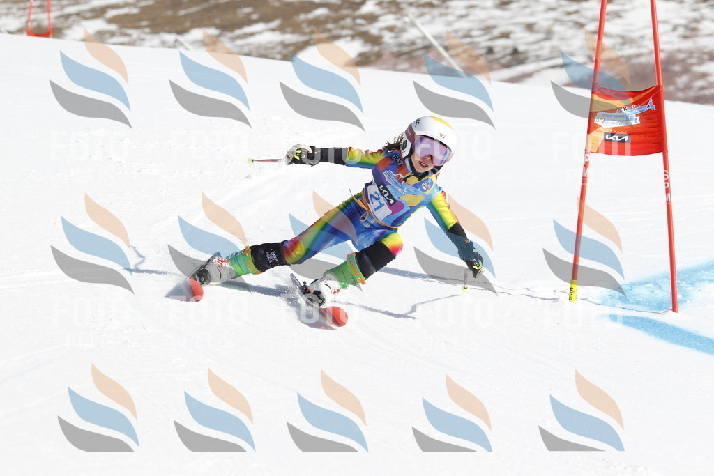 _U3G8879 | holidayphoto