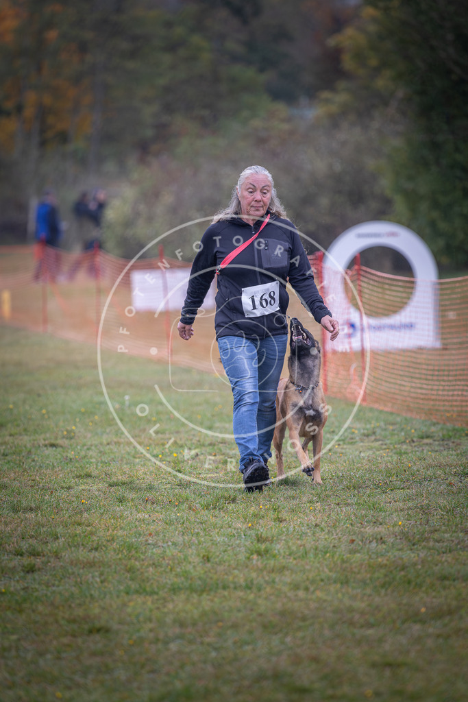 Pfotenfotografie_DV3A9019 | Hundefotografie, Tierfotograf, Pfotenfotografie, Fotoshooting Hund, Hunde Portrait, Hundesport, Hundeportraits, Heideshooting, Hunde, Sportfotograf, Hundefotograf, Turnierhundsport, THS,  - Realisiert mit Pictrs.com