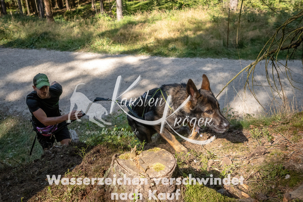 1241_ZZ94968 | kk-dogfotos