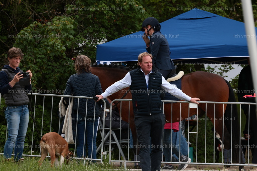 PI26_ST_StoibphotographyC2_L8897.JPG | working equitationturnier fotograf videograf stoibphotography marixx film working equitation deutschland reitsport turnierfotografie eventfotografie equestrian events