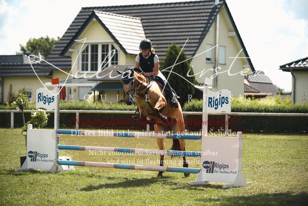 DSC_6790 | Pferde- und Turnierfotografie in Westsachsen. Pferdeportraits, Auftragszeichnungen und intuitive Kunst.