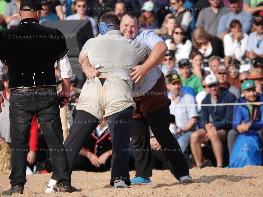 DSC08341 | Schwingen - Realisiert mit Pictrs.com