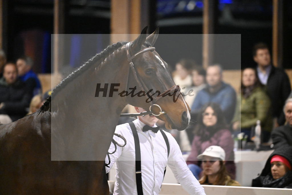 Vigaro_14261347 | hf-fotografie - Realisiert mit Pictrs.com