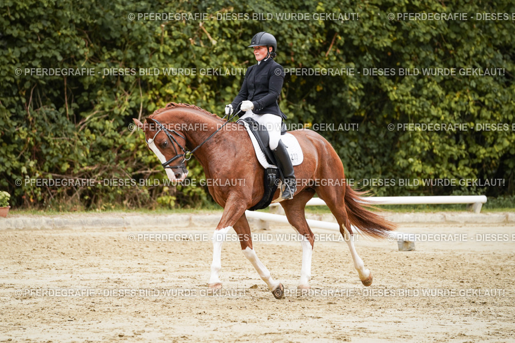 DSC00284 | Pferdegrafie