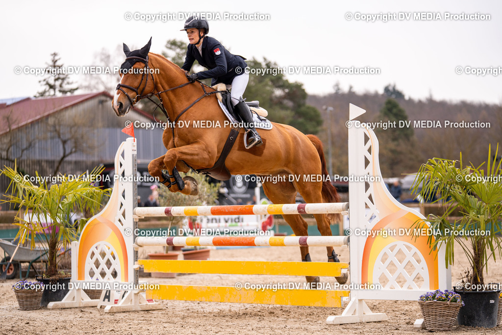 Kranichstein Tag 2-464 | dv-media-shop - Realisiert mit Pictrs.com