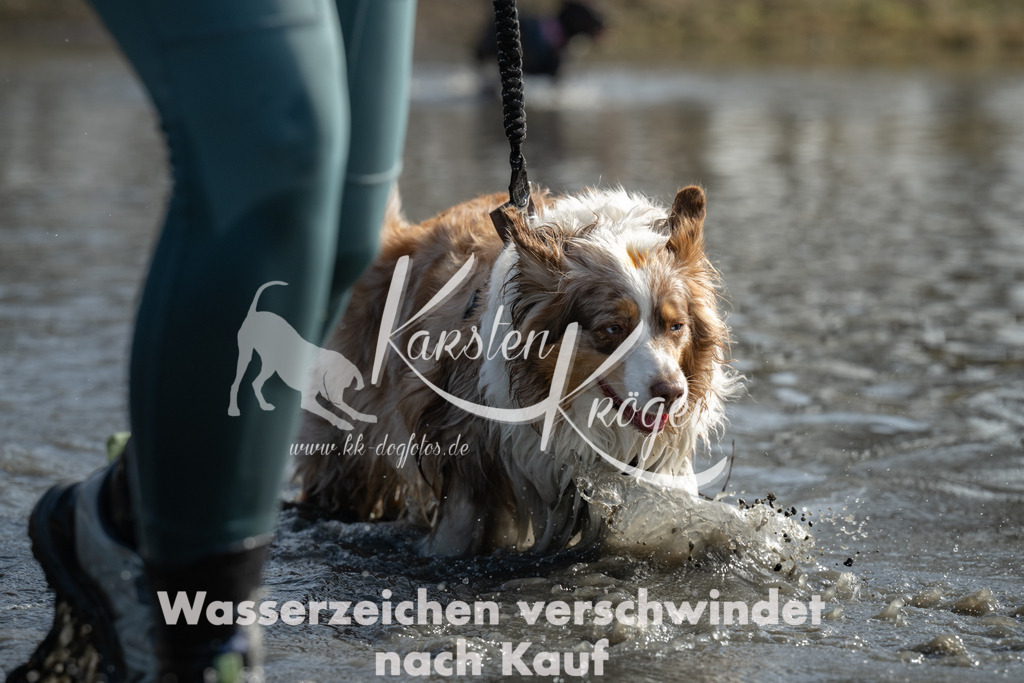 1238_ZZ91262 | kk-dogfotos