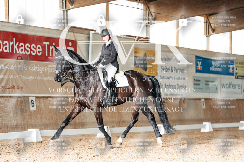 CK902867 | Turnierfotografie Pferdefotografie Trier Rheinland-Pfalz Pferdesport Reitsport Tierfotografie Sportfotografie Pferdevideo Pferdevideografie Equestrianvideography equestrianphotography  - Realisiert mit Pictrs.com