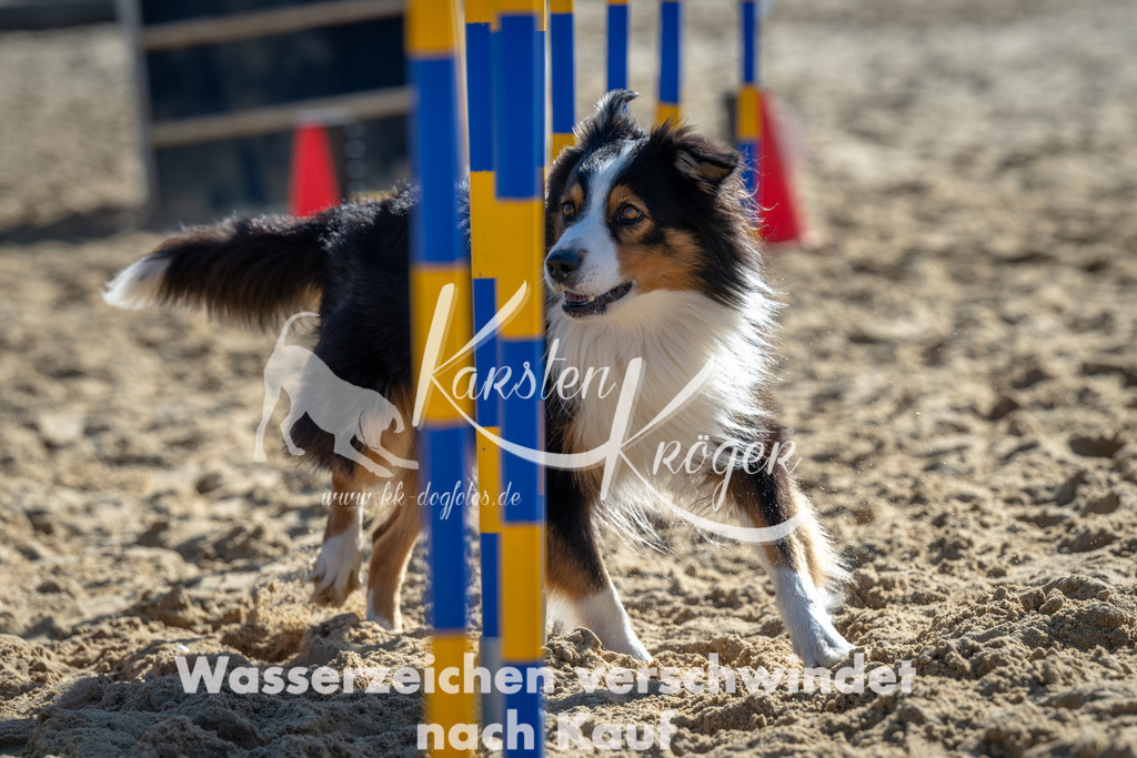 1129_ZZ91261 | kk-dogfotos