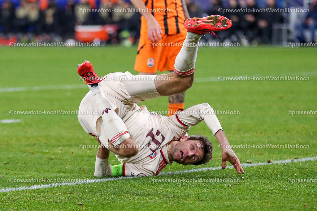 UCL10122401055 | 10.12.2024, Fußball, UEFA Champions League, Schachtar Donezk - FC Bayern München, Arena AufSchalke Gelsenkirchen, 8. Spieltag Saison 2024 2025: Torjubel nach dem 2:1 Tor durch Thomas Müller (Bayern #25) - Thomas Müller (Bayern #25) rollt sich mit einem Rückwertsroller nach dem Torschuss ab.DFB regulations prohibit any use of photographs as image sequences and or quasi-video.