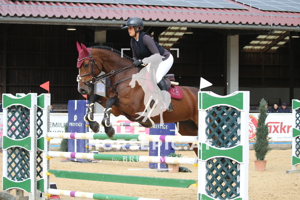 DL2Q0559 | Willkommen bei Brunnmayr - Design & Fotografie – Ihrem Spezialisten für Reitturniere und Pferdeveranstaltungen in Oberösterreich, Salzburg und Bayern! Seit über 17 Jahren sind wir leidenschaftlich dabei.