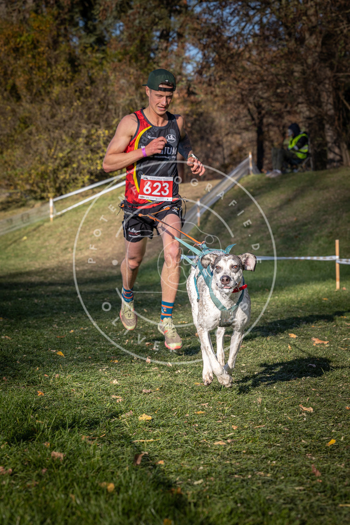 CaniXpix_0L8A8809 | Hundefotografie, Tierfotograf, Pfotenfotografie, Fotoshooting Hund, Hunde Portrait, Hundesport, Hundeportraits, Heideshooting, Hunde, Sportfotograf, Hundefotograf, Turnierhundsport, THS,  - Realisiert mit Pictrs.com