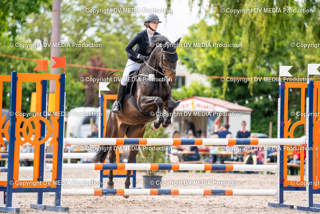 Eppelheim Tag 2-538 | dv-media-shop - Realisiert mit Pictrs.com