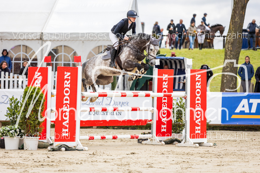 BHO-2PhSpr-M-5-2255 | MomenTaufnahmen Pferdesportfotos