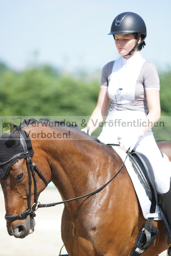 DSC01536 | equestrian-live-com