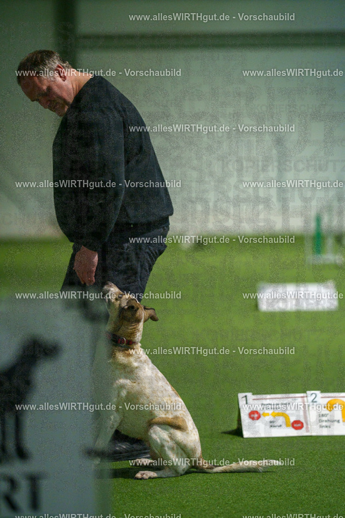 7R505283 | Professionelle Tierfotografie in Mönchengladbach von Daniel Wirth (allesWIRTHgut). Liebevolle & natürliche Bilder von Hunden & Katzen für unvergessliche Erinnerungen.