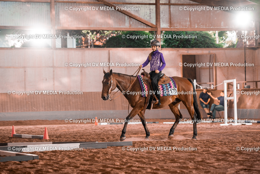 NE300087 | dv-media-shop - Realisiert mit Pictrs.com