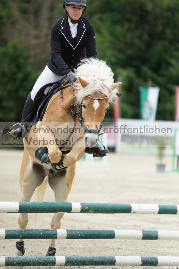 DSC07624 | equestrian-live-com