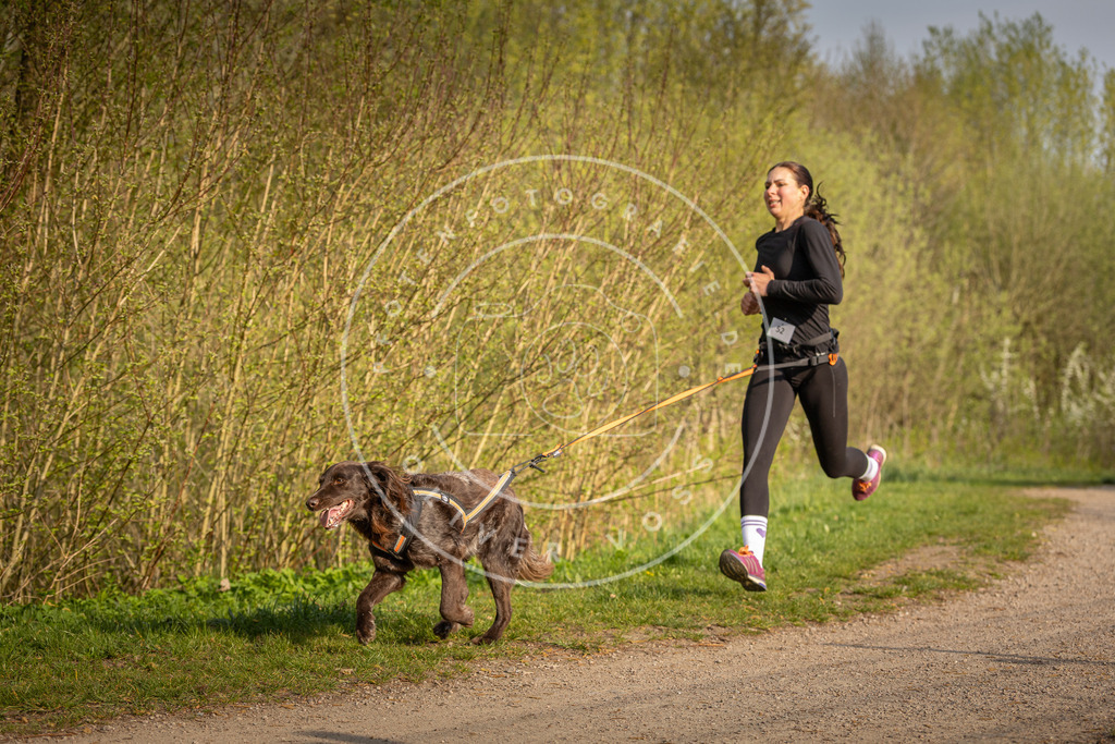 Pfotenfotografie_DV3A4620 | Hundefotografie, Tierfotograf, Pfotenfotografie, Fotoshooting Hund, Hunde Portrait, Hundesport, Hundeportraits, Heideshooting, Hunde, Sportfotograf, Hundefotograf, Turnierhundsport, THS,  - Realisiert mit Pictrs.com