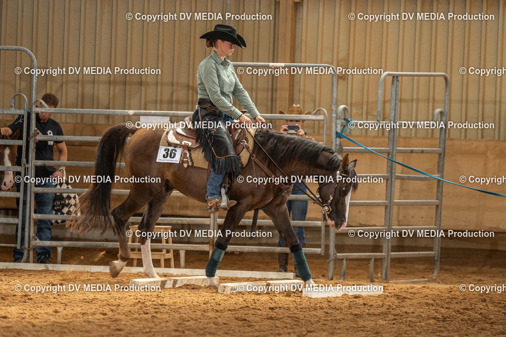 NID01861 | dv-media-shop - Realisiert mit Pictrs.com