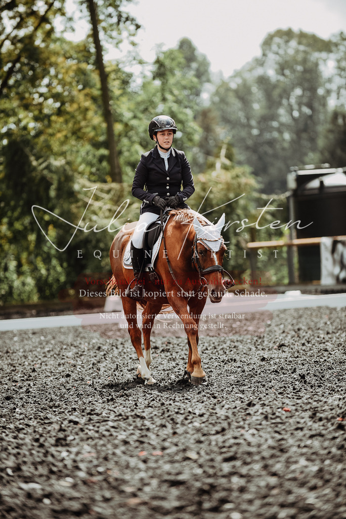 DSC_4246 | Pferde- und Turnierfotografie in Westsachsen. Pferdeportraits, Auftragszeichnungen und intuitive Kunst.