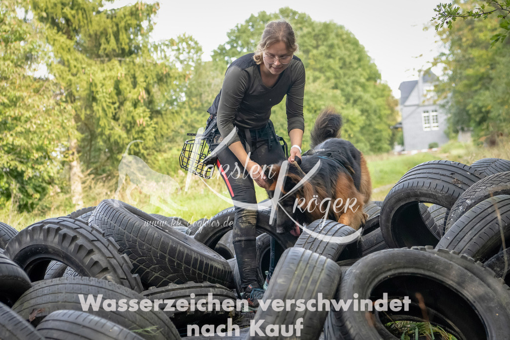 1511_ZZ91318-Bearbeitet | kk-dogfotos