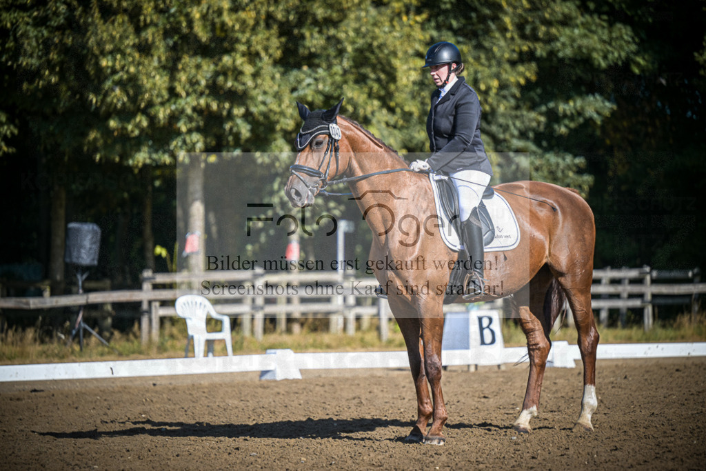 DOS_1266 | Entdecke hochwertige Reitturnierfotos von Foto Oger. Professionell, emotional und authentisch – jetzt Lieblingsmomente im Shop bestellen.Deutschlandweite Turnierfotografie. - Realisiert mit Pictrs.com